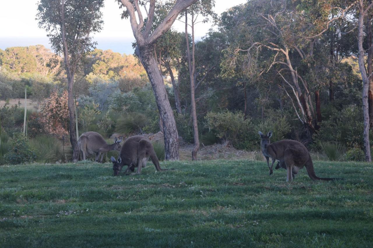 Eagle Bay House Bed & Breakfast Dunsborough Dış mekan fotoğraf